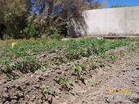 /album/proceso/a100-1857-copiar-jpg/